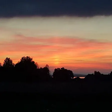 Beztroski Zakatek ホームステイ